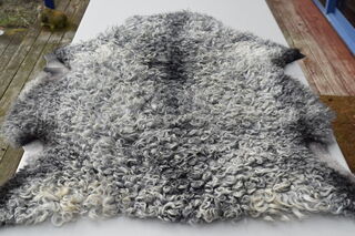 Sheepskin no 3
