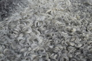 Sheepskin no 6