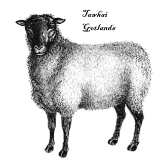 Tawhai Gotland Stud