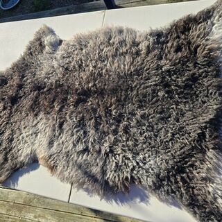 Sheepskin 2578