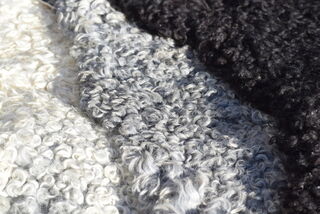 Swedish Gotland Sheepskins, Tawhai Gotland Sheep Stud